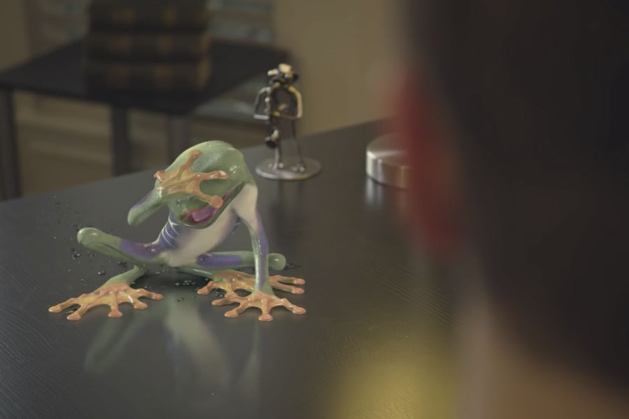 Adobe and the Frog